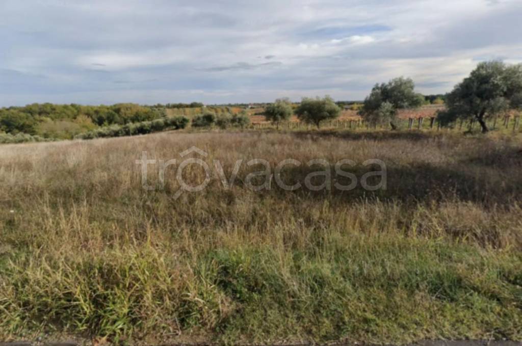 immagine annuncio 3 di 9