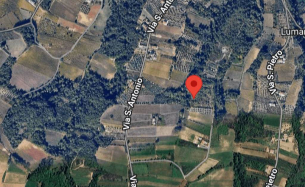 immagine annuncio 6 di 9