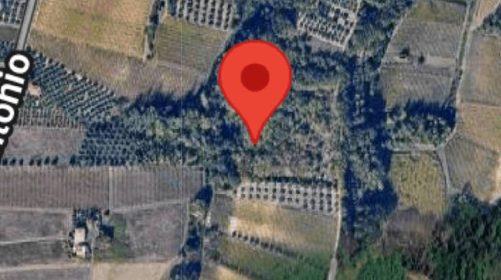 immagine annuncio 7 di 9