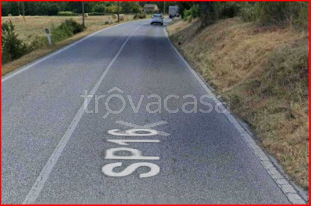 immagine annuncio 5 di 11