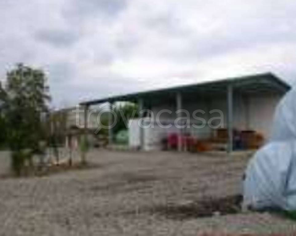 immagine annuncio 6 di 11