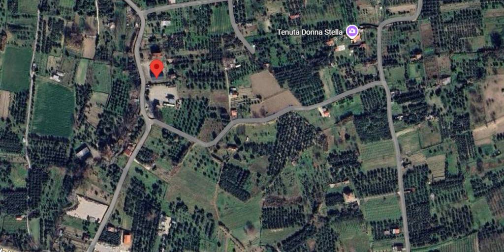 immagine annuncio 9 di 11