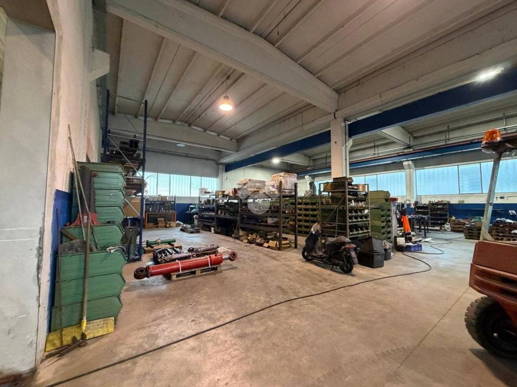 immagine annuncio 1 di 15