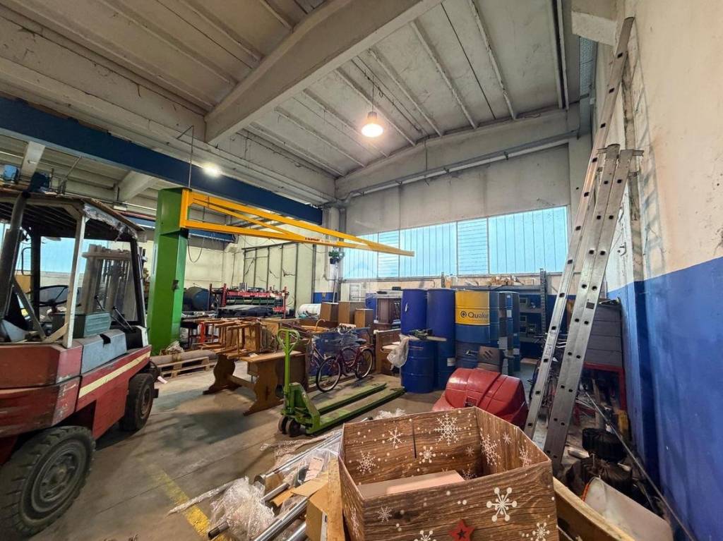 immagine annuncio 5 di 15