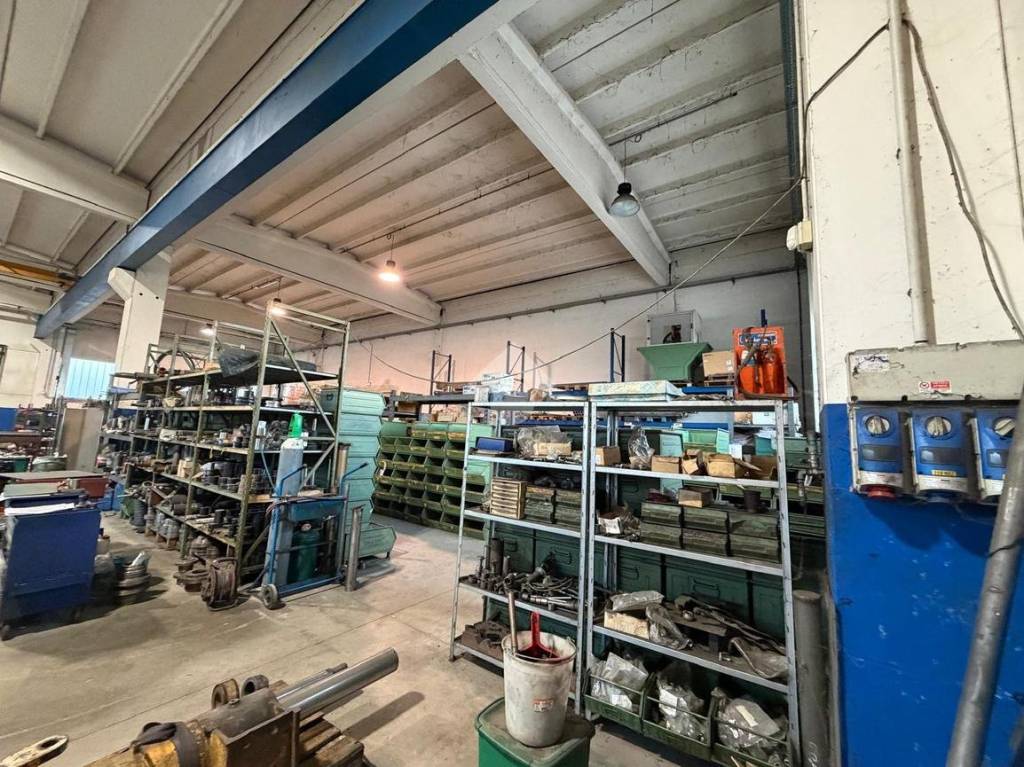 immagine annuncio 11 di 15