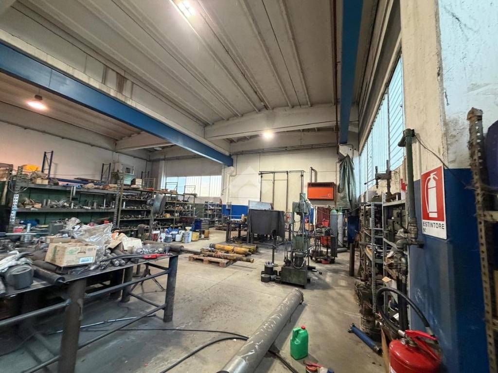 immagine annuncio 12 di 15