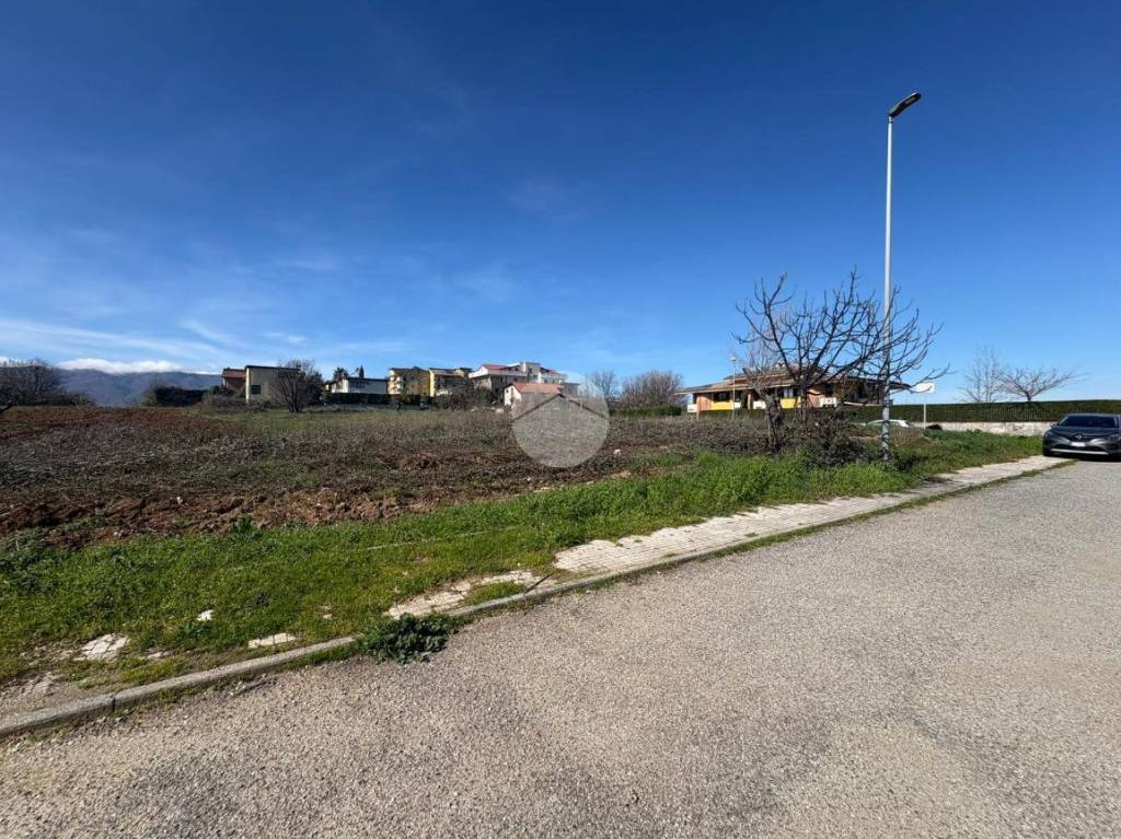 immagine annuncio 4 di 14