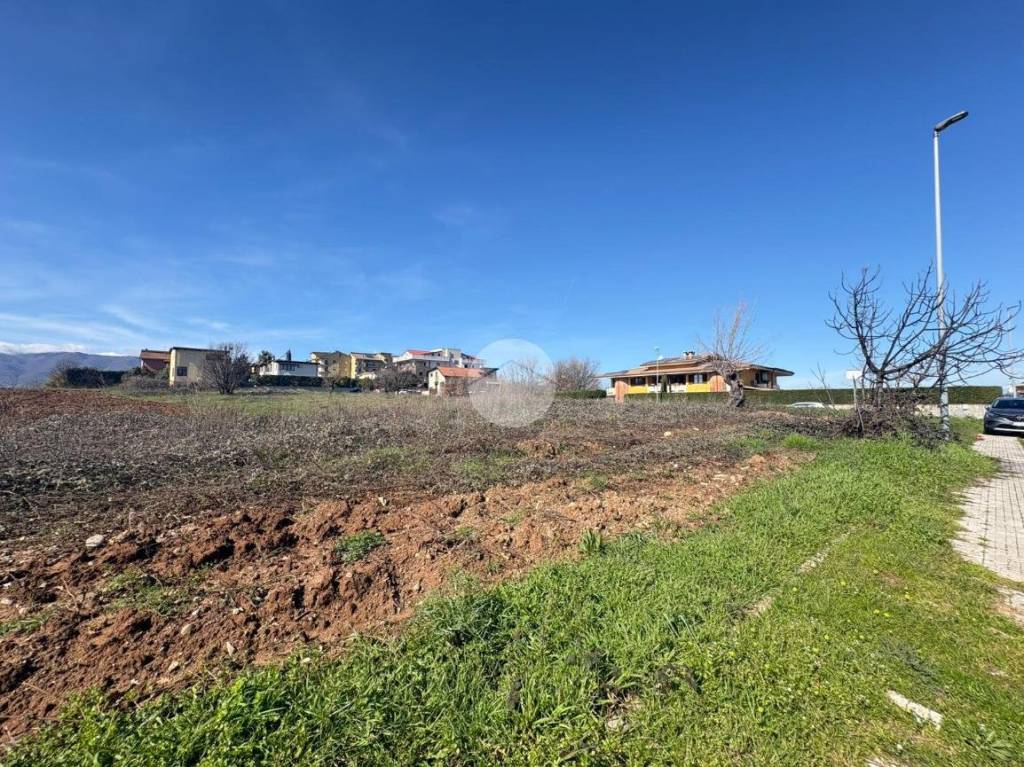 immagine annuncio 5 di 14