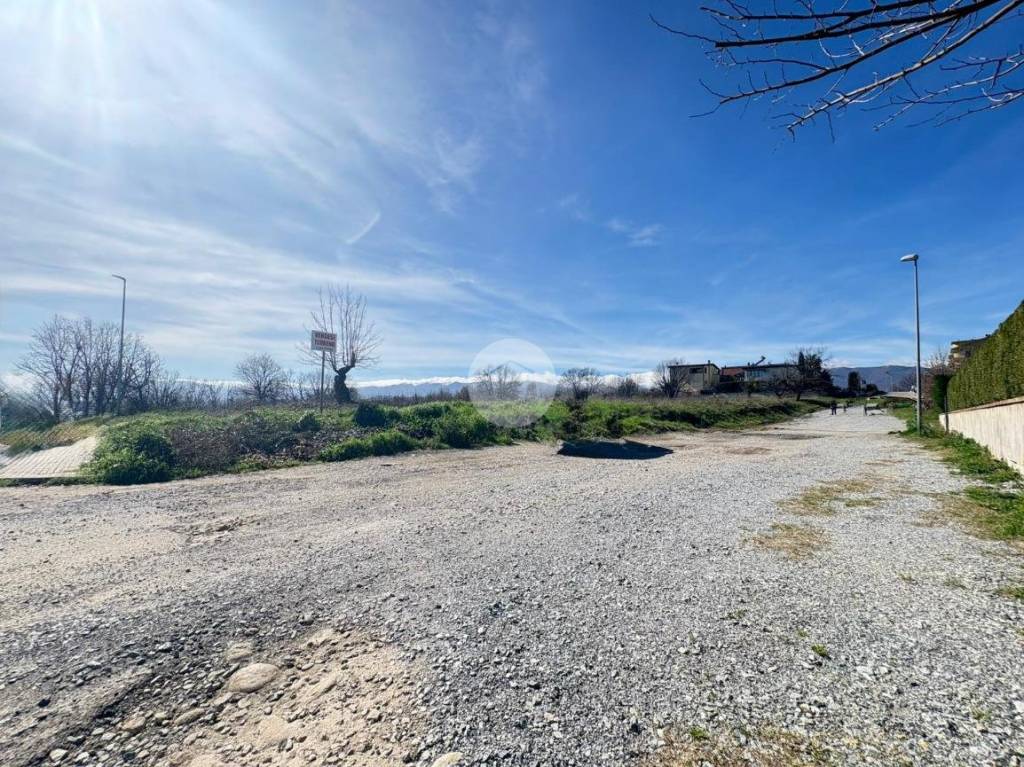 immagine annuncio 6 di 14