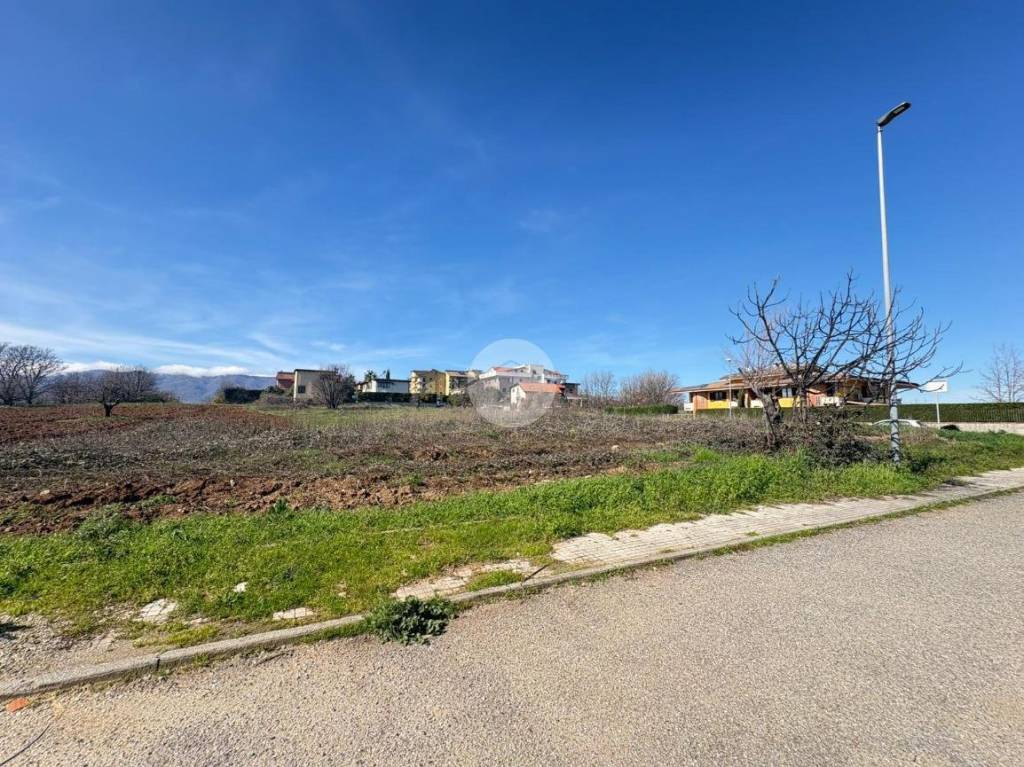 immagine annuncio 10 di 14