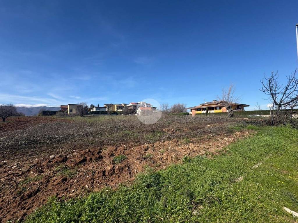 immagine annuncio 11 di 14