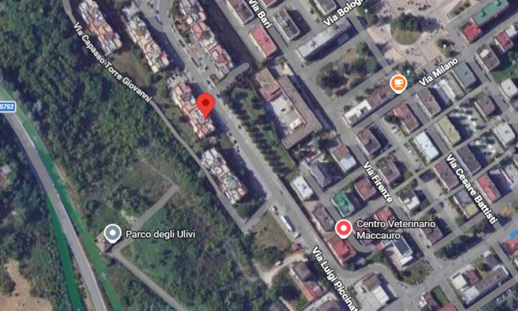 immagine annuncio 3 di 10