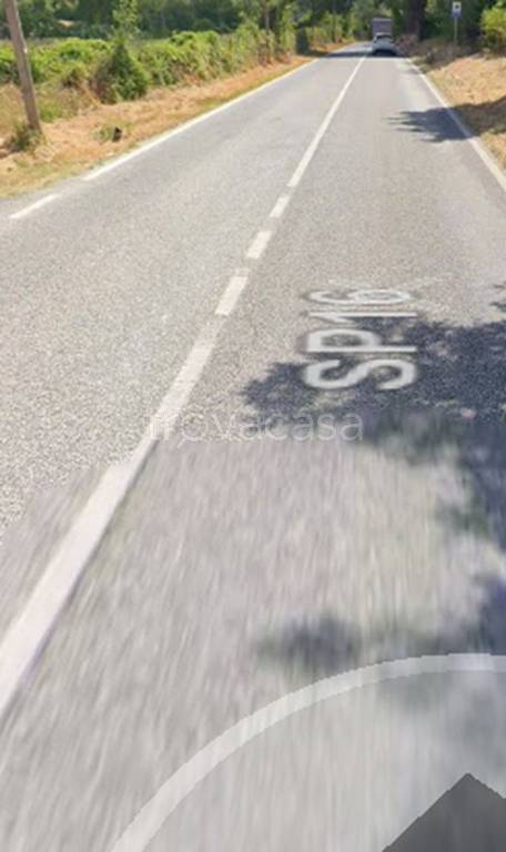 immagine annuncio 3 di 11