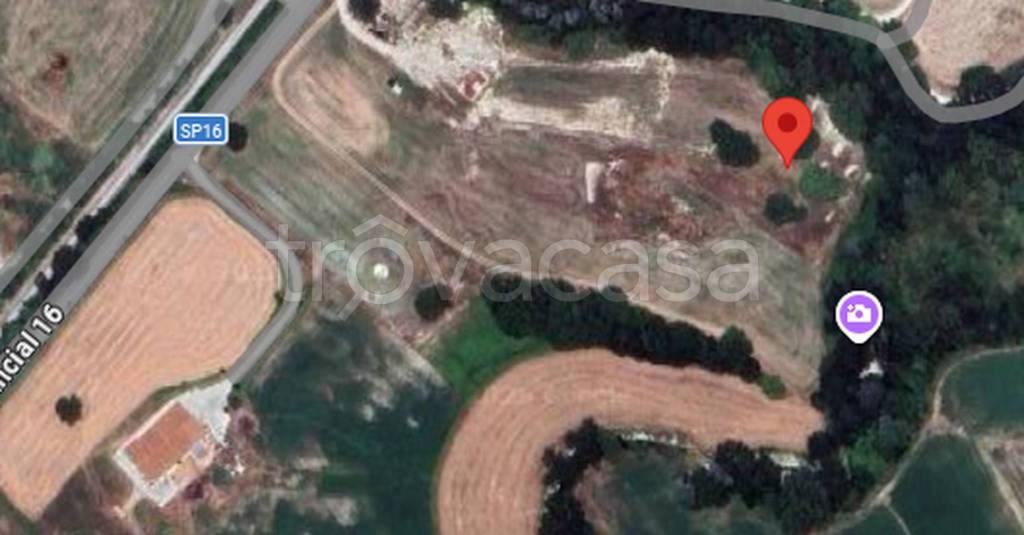 immagine annuncio 10 di 11