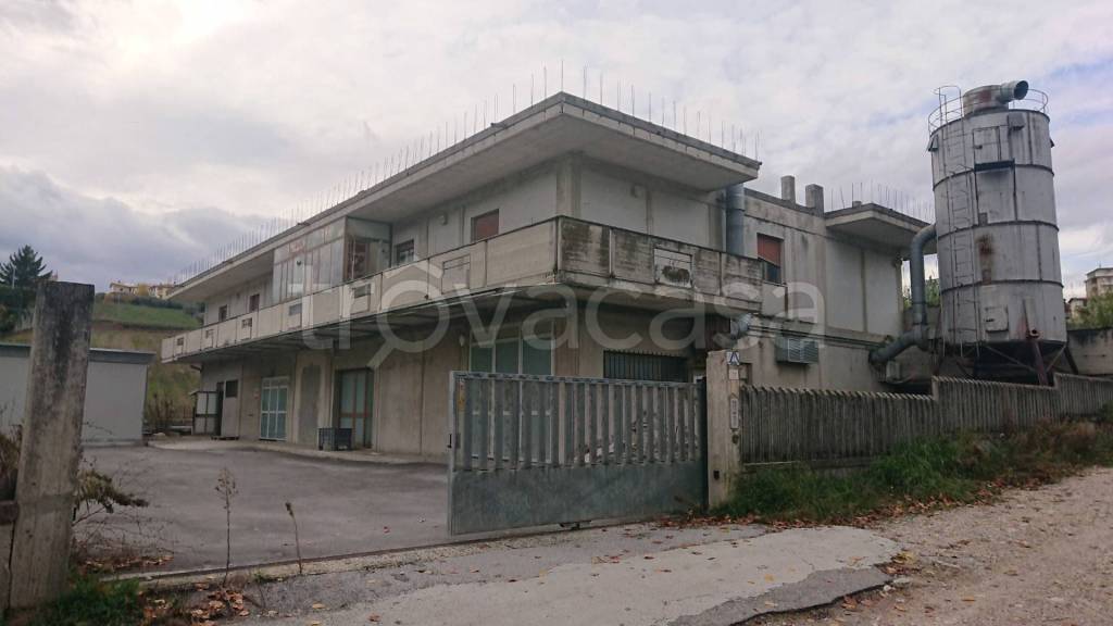 immagine annuncio 2 di 10