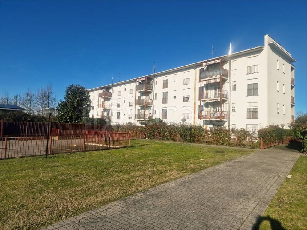 immagine annuncio 1 di 15