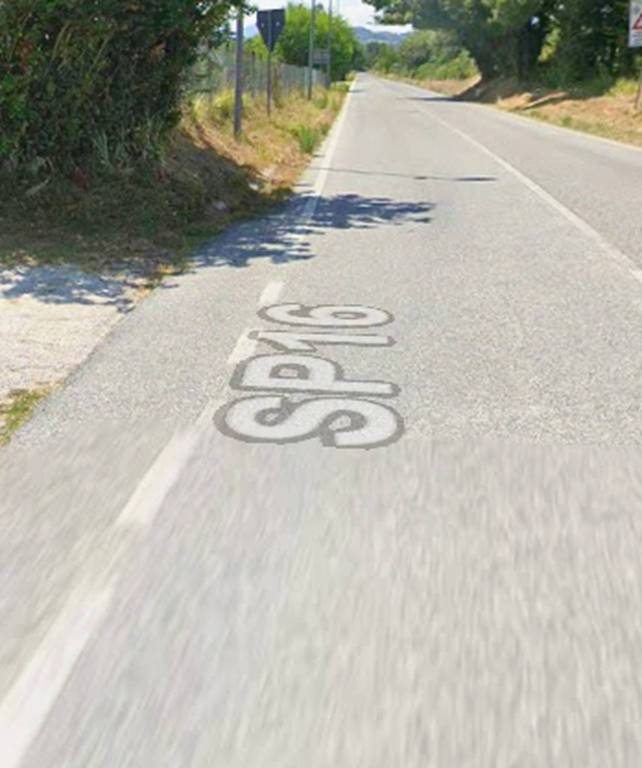 immagine annuncio 2 di 12