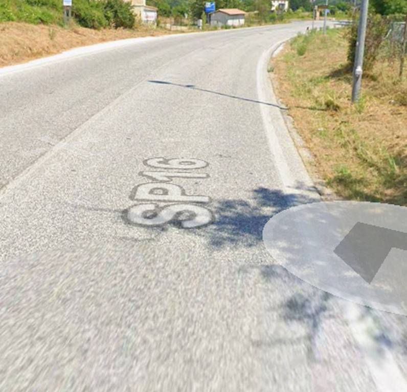 immagine annuncio 11 di 12