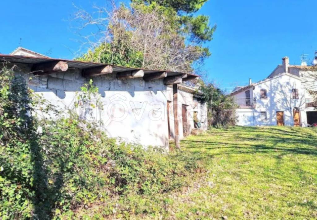 immagine annuncio 6 di 10