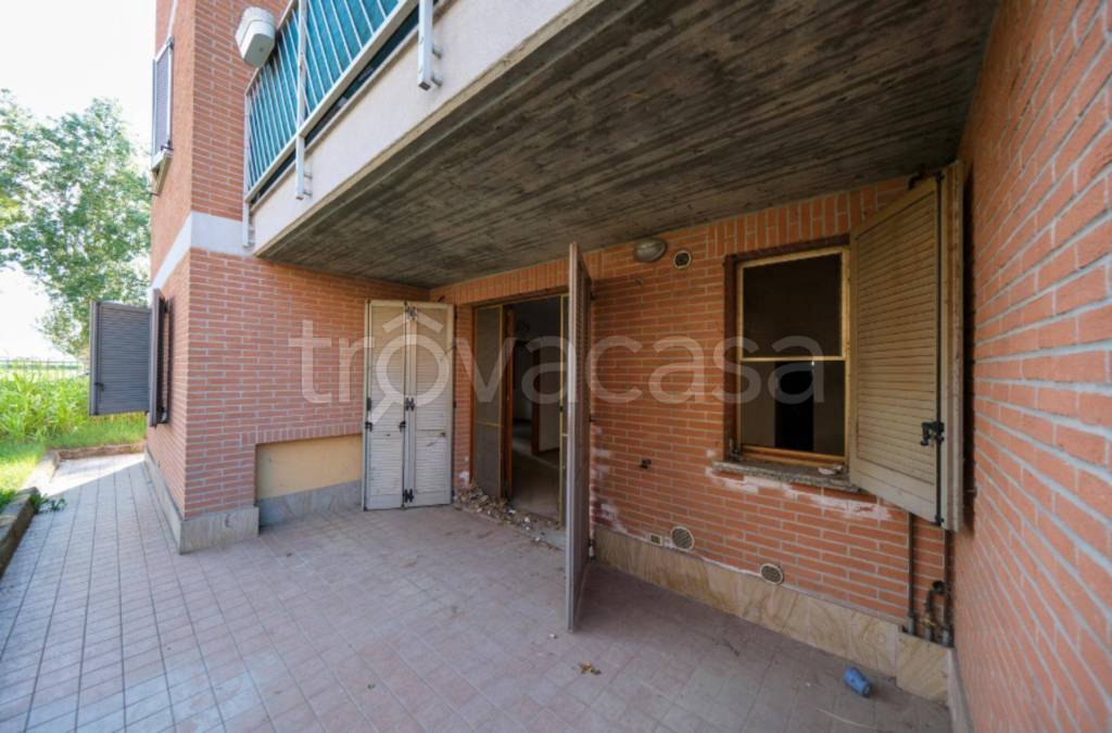 immagine annuncio 9 di 11