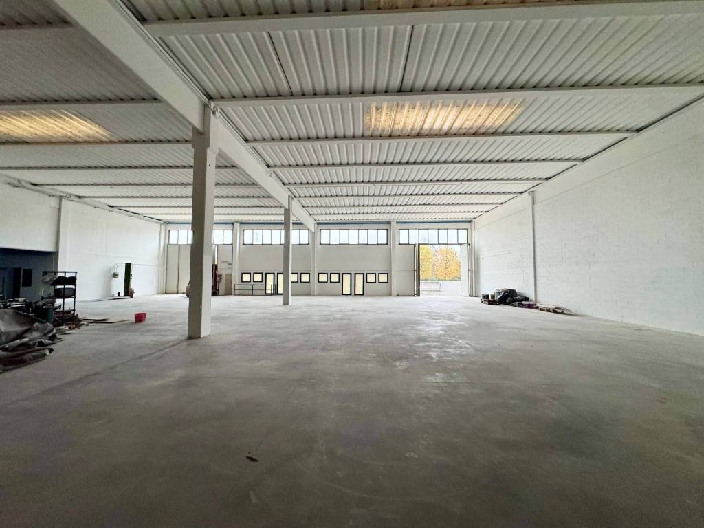 immagine annuncio 6 di 11