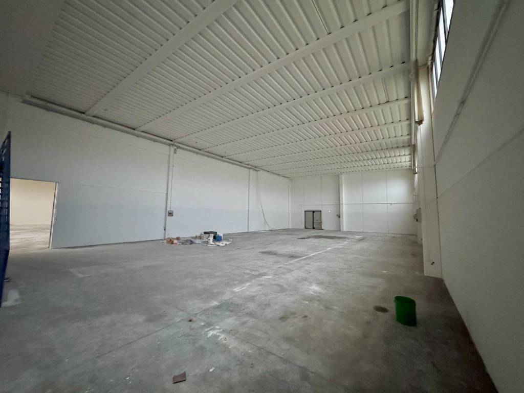 immagine annuncio 4 di 11