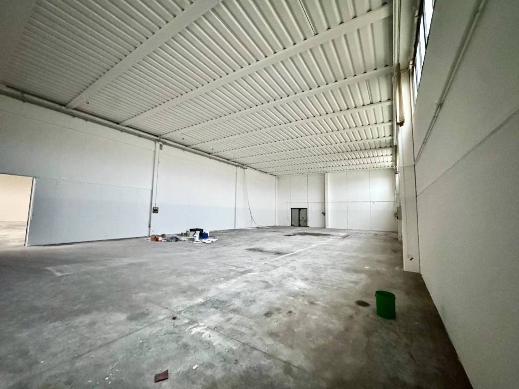 immagine annuncio 9 di 11