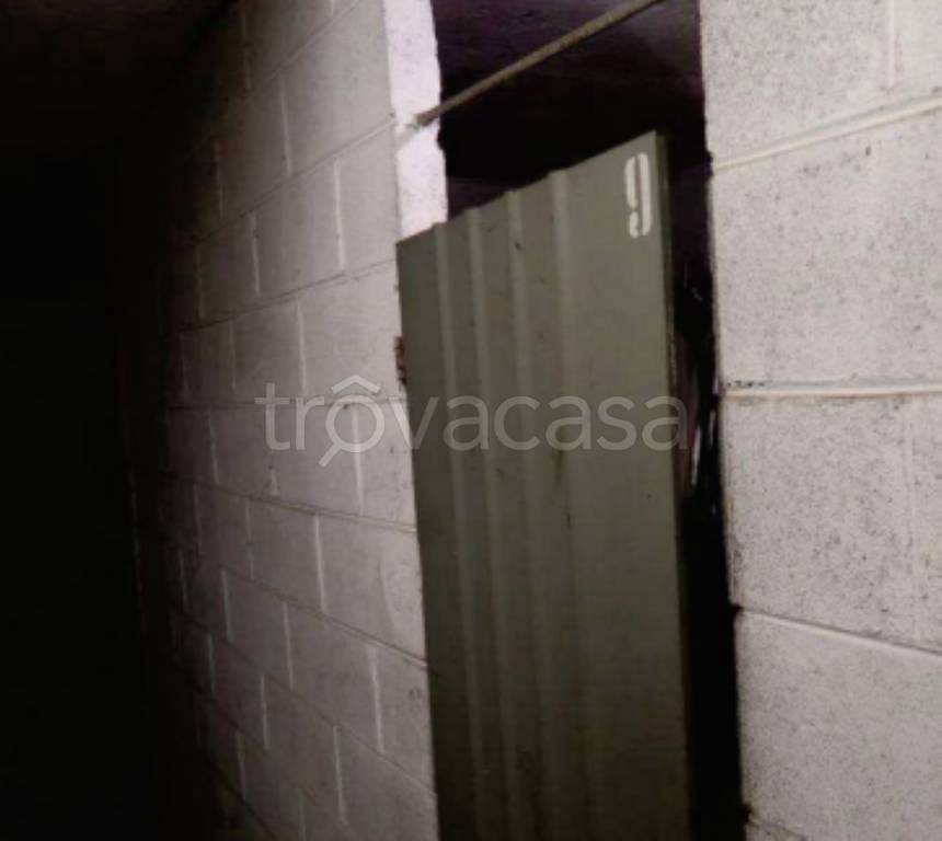 immagine annuncio 11 di 13