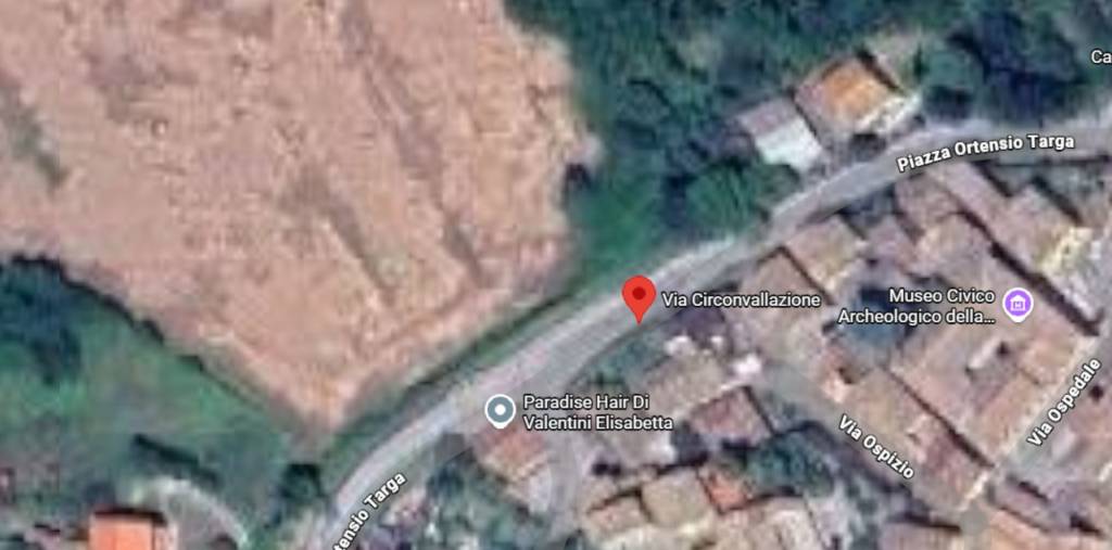 immagine annuncio 5 di 8