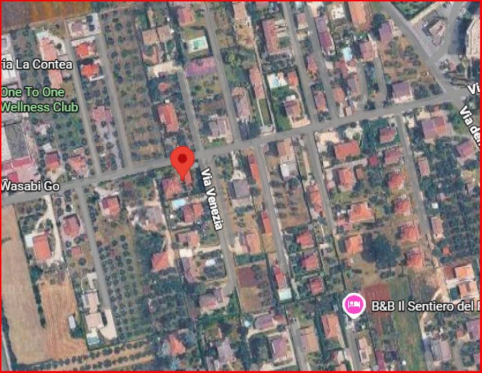 immagine annuncio 11 di 12