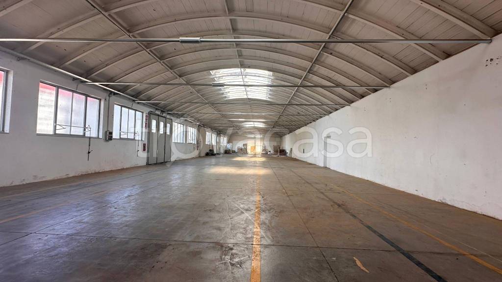 immagine annuncio 2 di 7