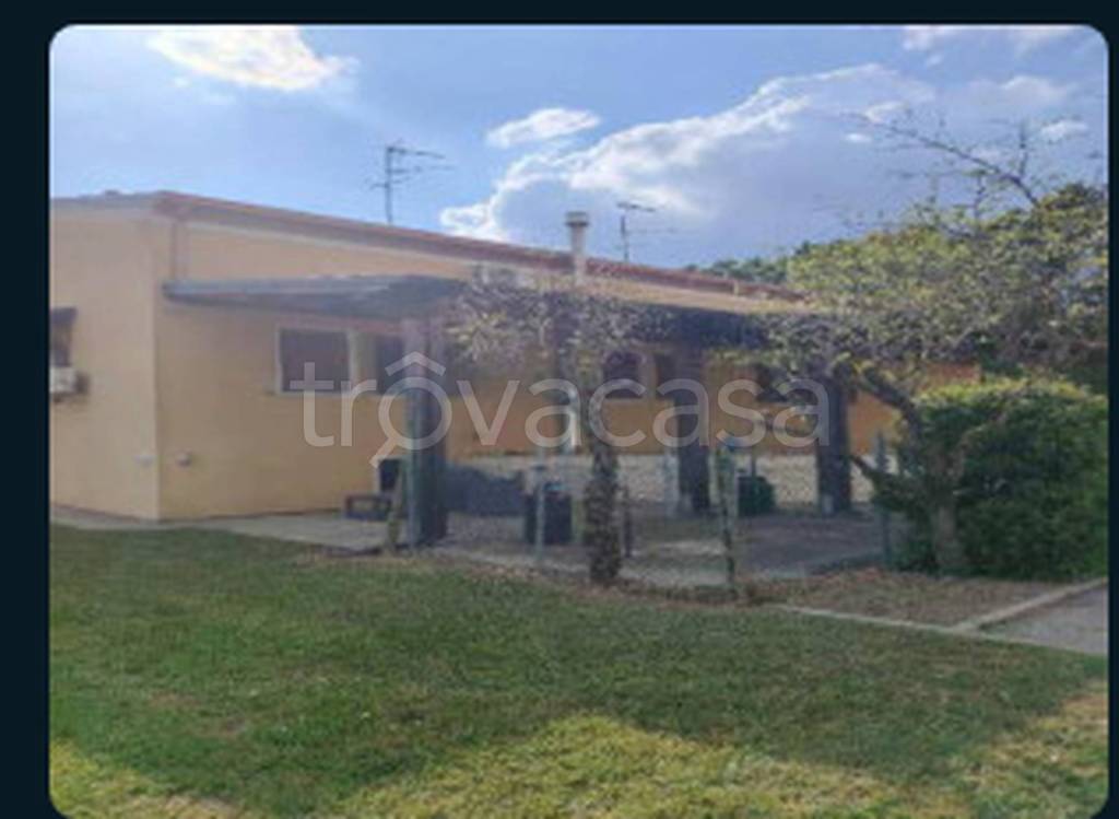 immagine annuncio 3 di 12