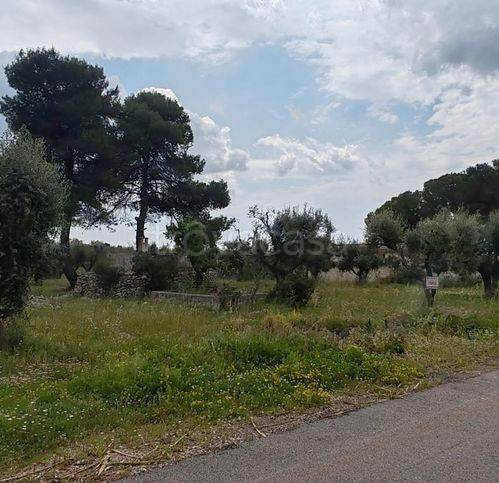 immagine annuncio 2 di 12