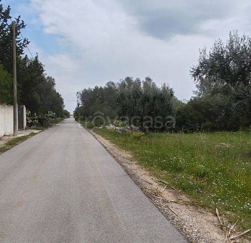 immagine annuncio 4 di 12