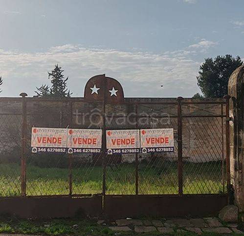 immagine annuncio 1 di 12