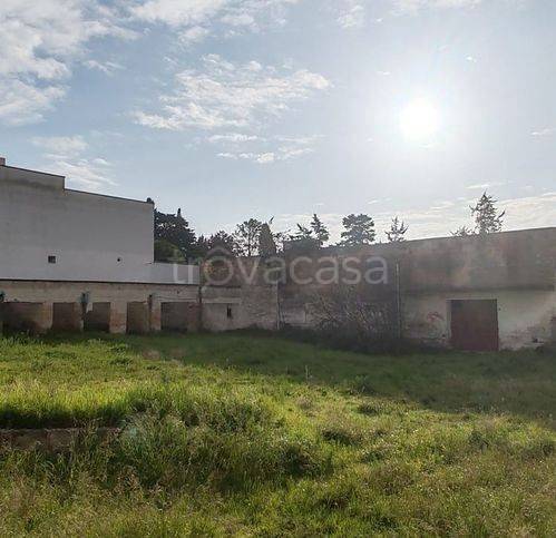 immagine annuncio 2 di 12