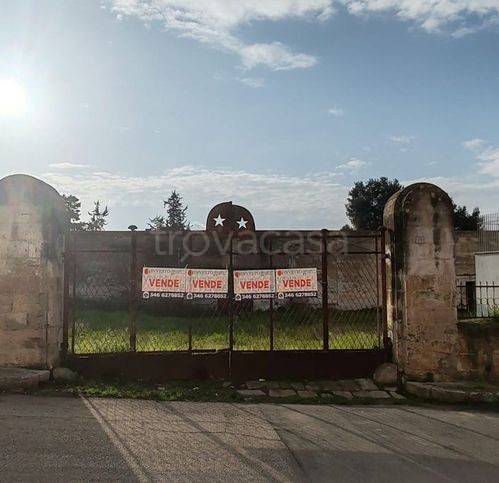 immagine annuncio 3 di 12