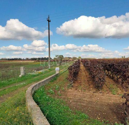 immagine annuncio 3 di 7