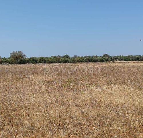 immagine annuncio 3 di 9