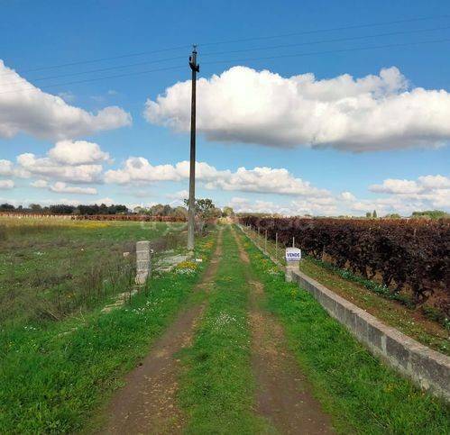 immagine annuncio 4 di 7