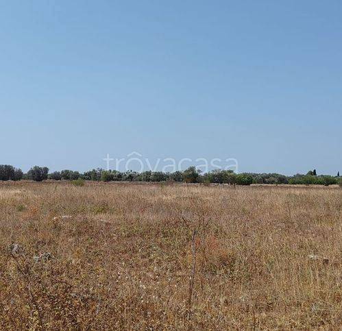 immagine annuncio 4 di 9