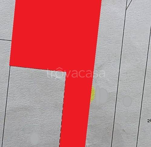 immagine annuncio 5 di 7