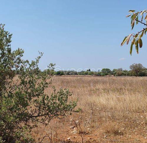 immagine annuncio 5 di 9