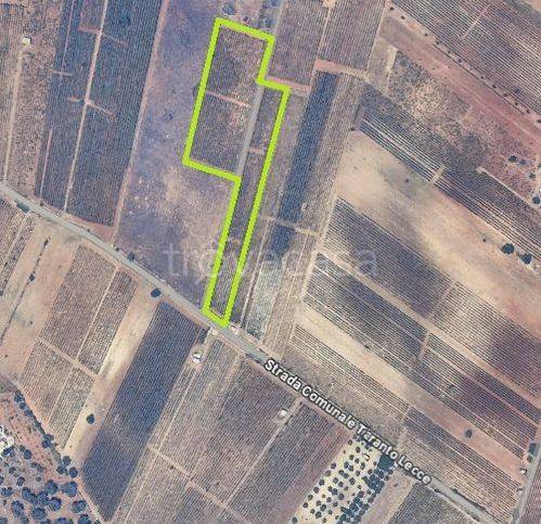 immagine annuncio 6 di 7