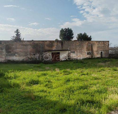 immagine annuncio 7 di 12