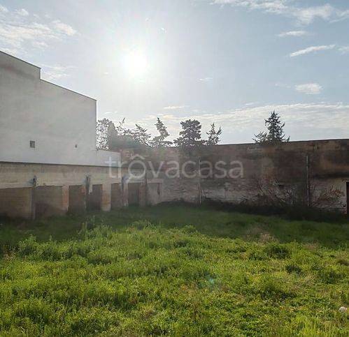 immagine annuncio 8 di 12