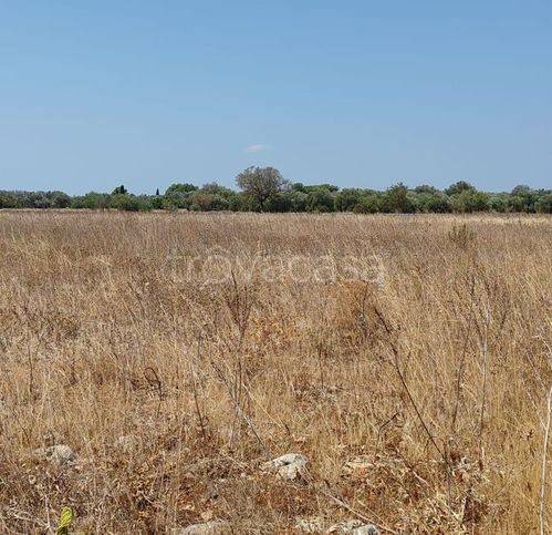 immagine annuncio 7 di 9