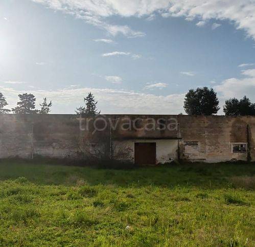 immagine annuncio 9 di 12