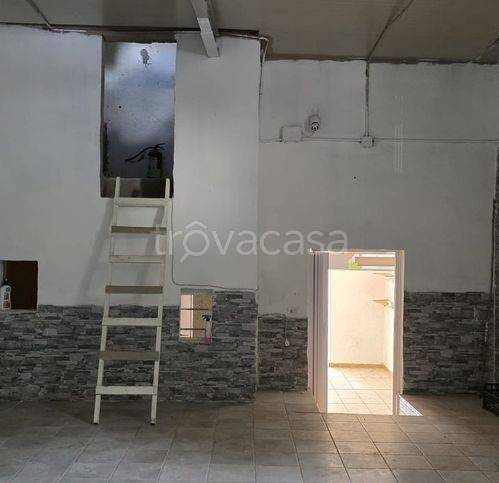 immagine annuncio 9 di 14