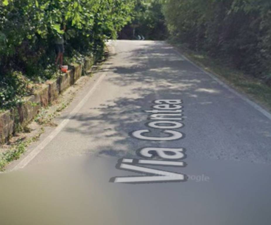 immagine annuncio 6 di 11